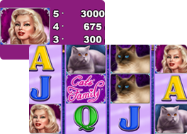 100 Cats Symbols