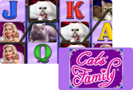 100 Cats Win