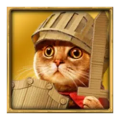 Feline Fury symbol khight cat