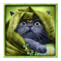 Feline Fury symbol green cat