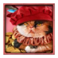 Feline Fury symbol red cat