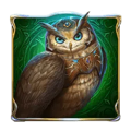 Rise of Merlin symbol owl