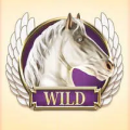 Divine Fortune Megaways symbol wid