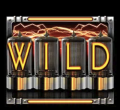 Time-Machine-wild-symbol