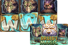 Druid’s Magic Wild