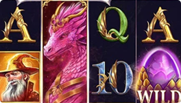 Dragon’s Mirror Wild