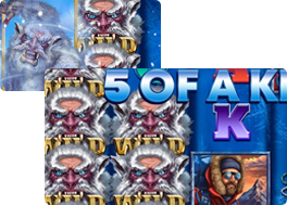 1K Yeti Wild