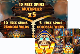 Pirates Party Wild