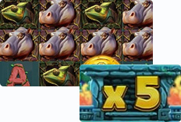 Rainforest Gold Win