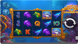 Mystic Dolphin Charge Up Gameplay