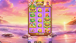 Геймплей на Free Spins в Pelican Payday