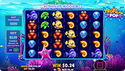 Ante Bet attivo in Tropical Pop