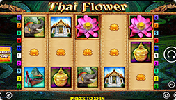 Thai Flower Power Play Super Power Play