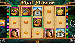 Thai Flower Power Play Ultra Power Play
