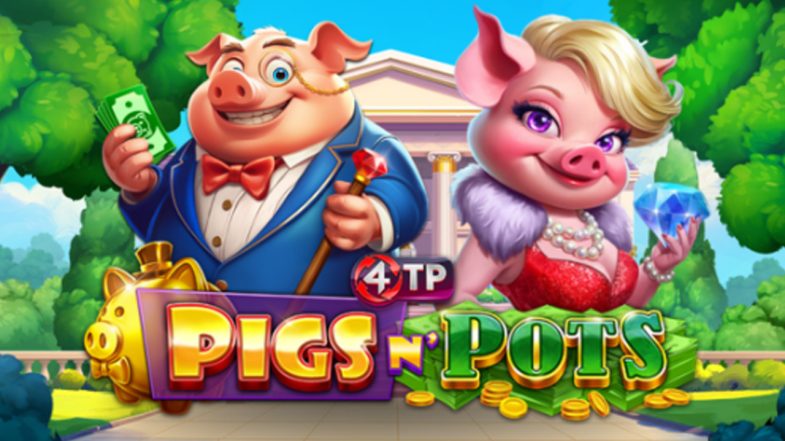 4TP Pigs N’ Pots Demostración