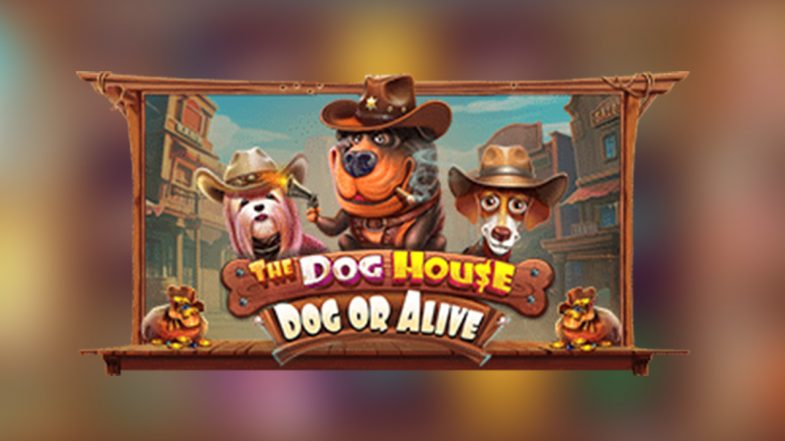 The-Dog-House Dog or Alive Demo