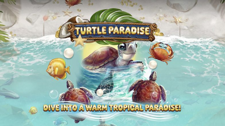 Turtle Paradise Demo