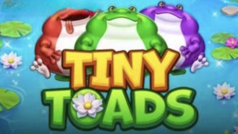 Tiny Toads Demo