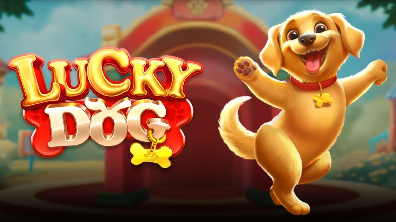 Lucky Dog Demo