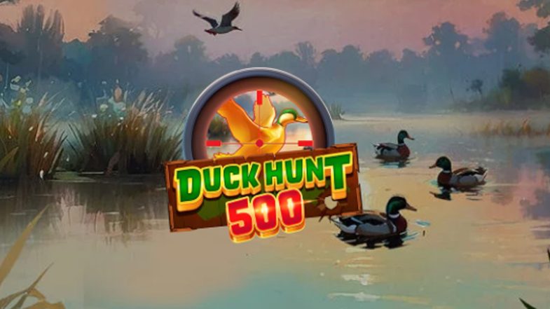 Duck Hunt 500 demo