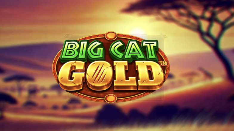 Big Cat Gold Demo